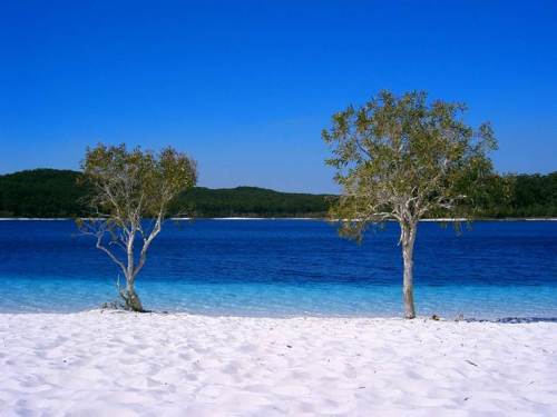Lake Mckenzie é só uma das atrações de Fraser Island